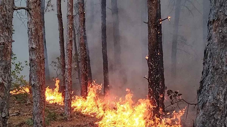  Борбата с пожарите в страната продължава