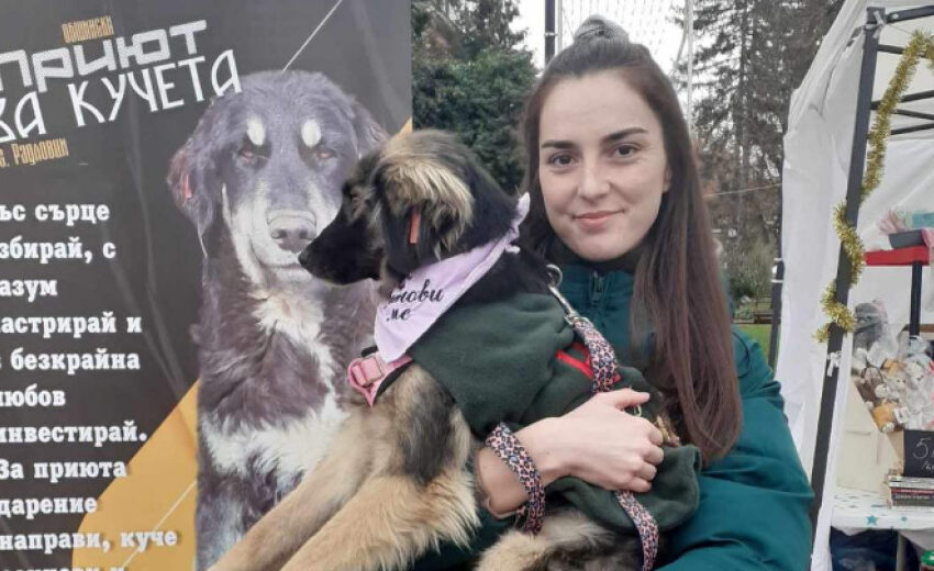  Такса „куче“ за Община Кюстендил скача от 1 ст. до 30 лева