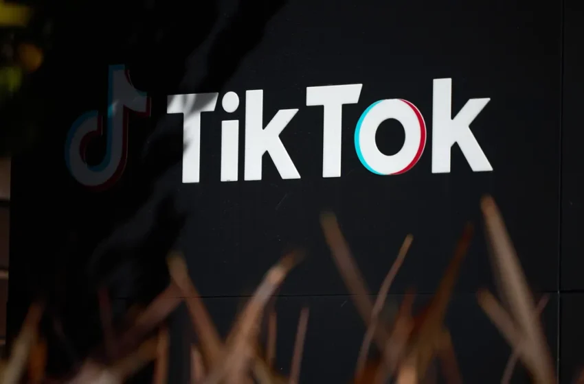  TikTok иска от Върховния съд да блокира задаващата се забрана в САЩ