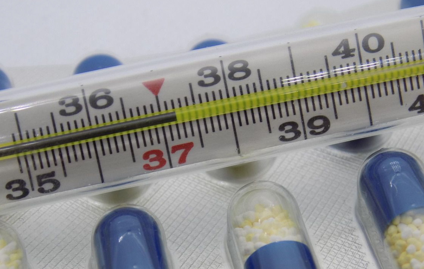  Кога ще е пикът на грипа и какви вируси ни атакуват в момента