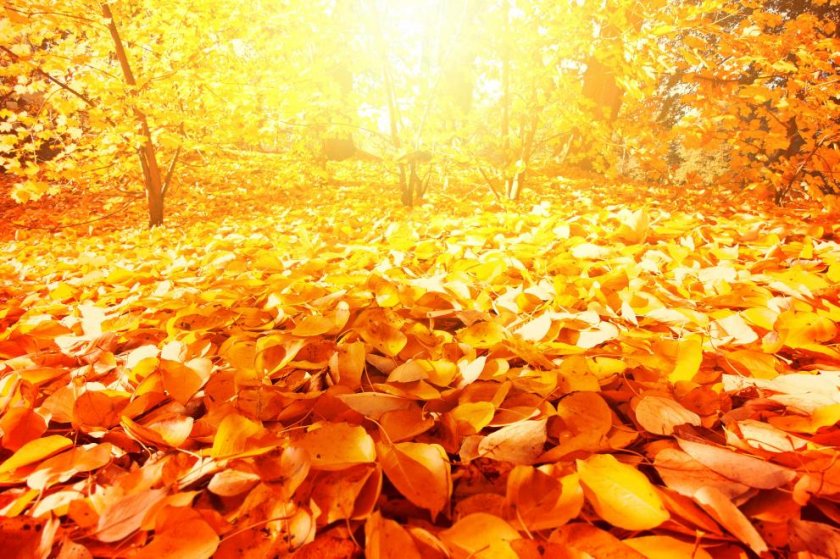  Очаква ни слънчев ден! Температурите ще са до 19°