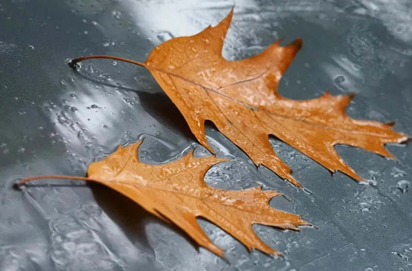  Студен атмосферен фронт преминава през страната тази нощ, утре ще е дъждовно