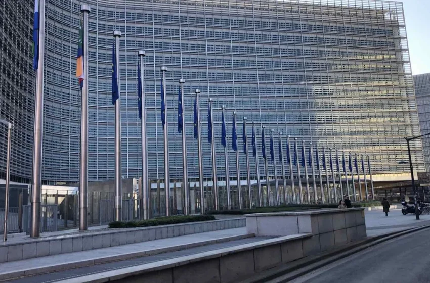  ЕС предлага разхлабване на правилата за изкуствен интелект и защита на данните