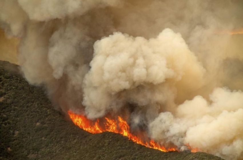  Потушени са общо 51 пожара за изминалото денонощие