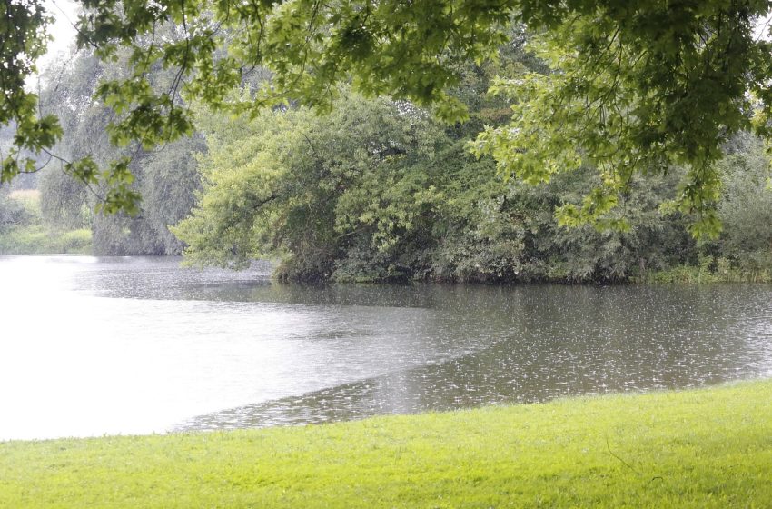  Чака ни мъглив и мрачен вторник