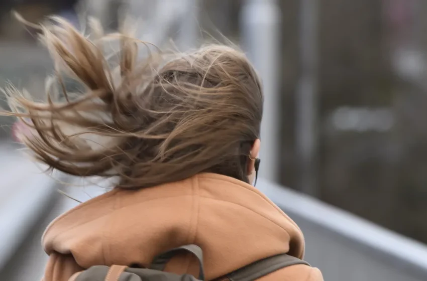  Опасно силен вятър в цялата страна