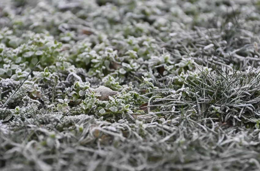  Ето къде ще вали сняг днес, температурите до 5 градуса