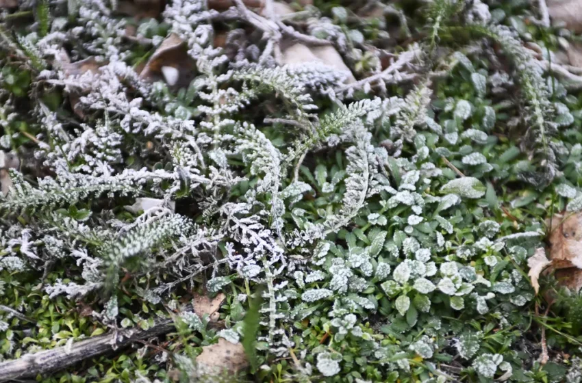  Чака ни ледена утрин до – 12 градуса