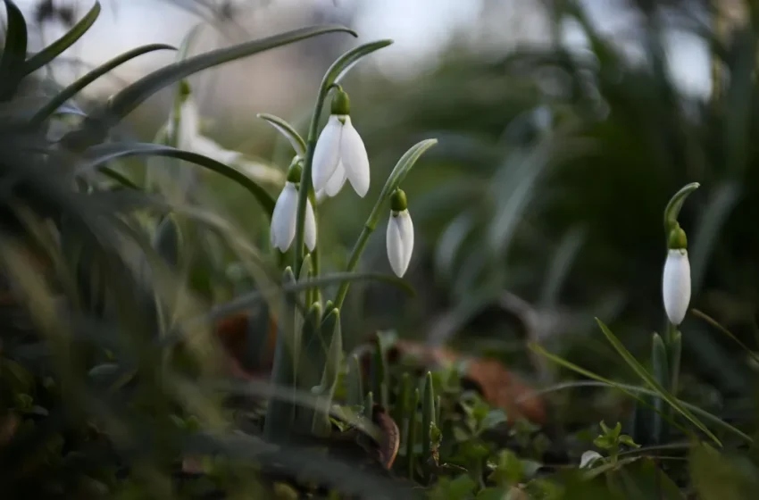  Облаците си отиват, чака ни слънце