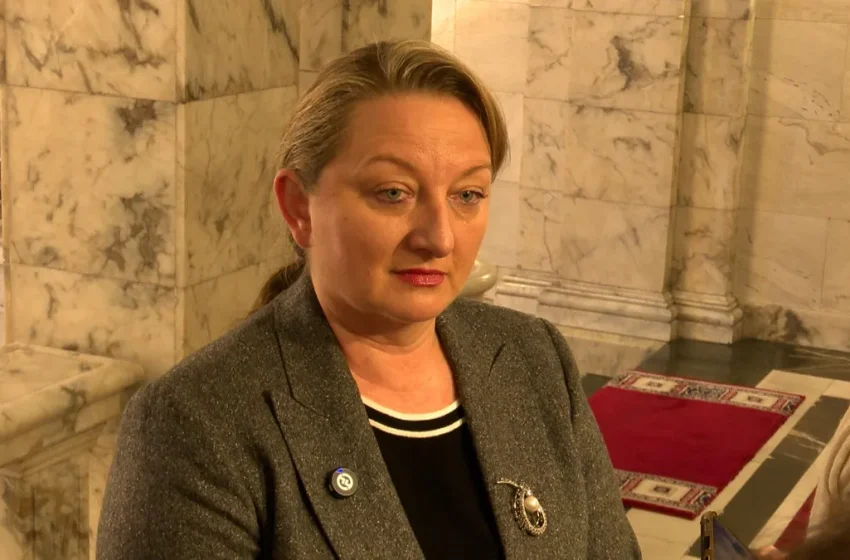  България постави въпроса за насилието над нашенци в Северна Македония пред Съвета на Европа