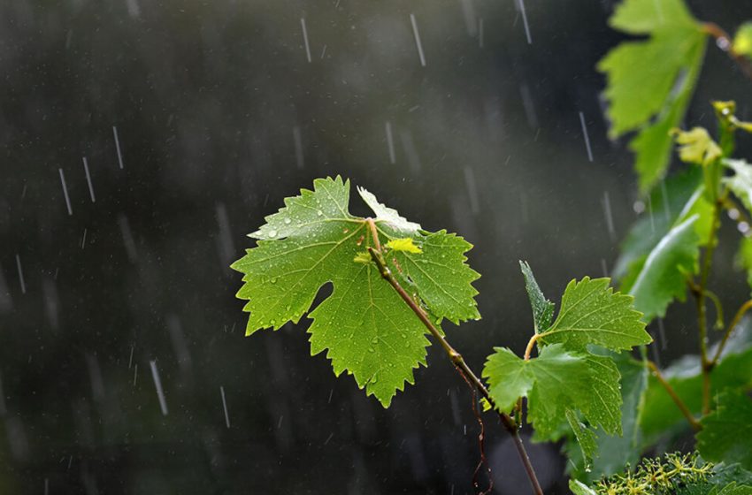  Очакват ни променлива облачност, на места валежи и високи за сезона температури