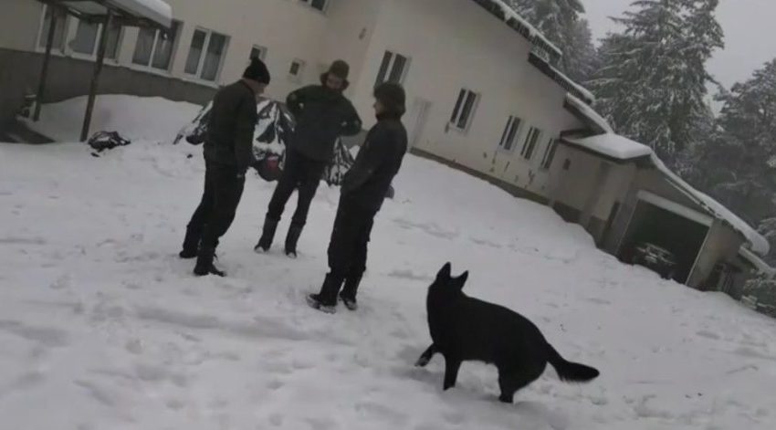  Румен Петков за случая „Петрохан“: Допуснаха се няколко грешки