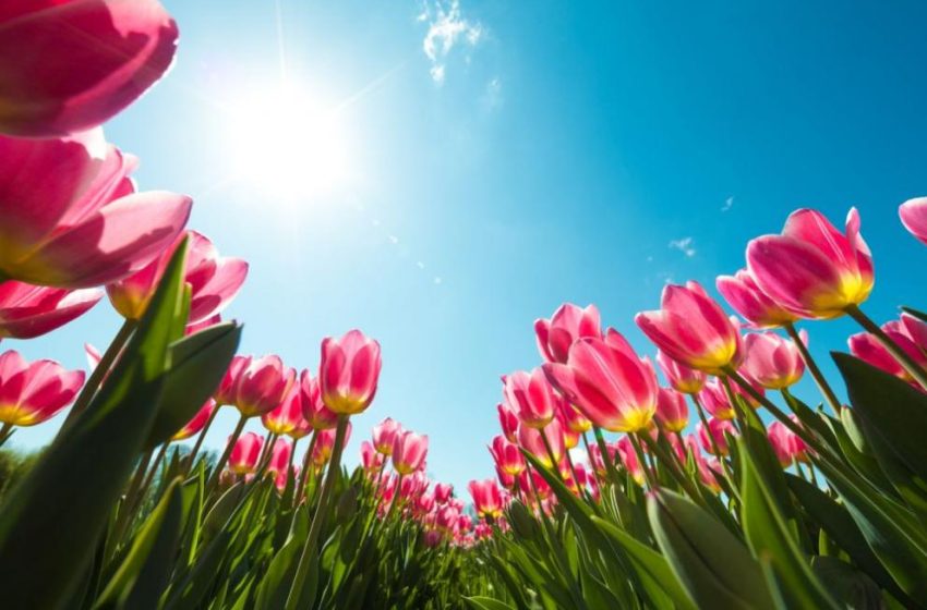  Денят ще бъде предимно слънчев, а вятърът – слаб