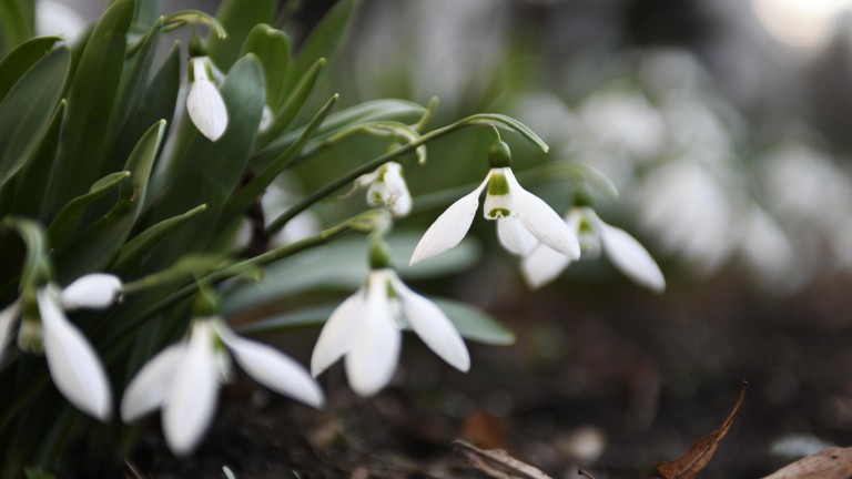  Март започва със слънце