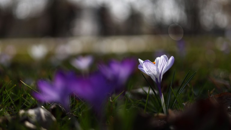  Седмицата започва със слънце
