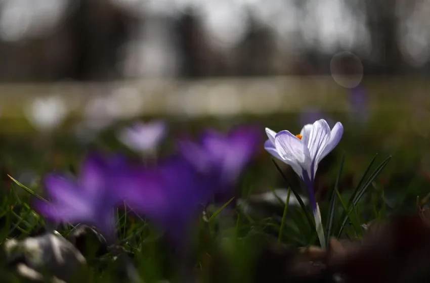  Днес ще бъде по-хладно и ветровито