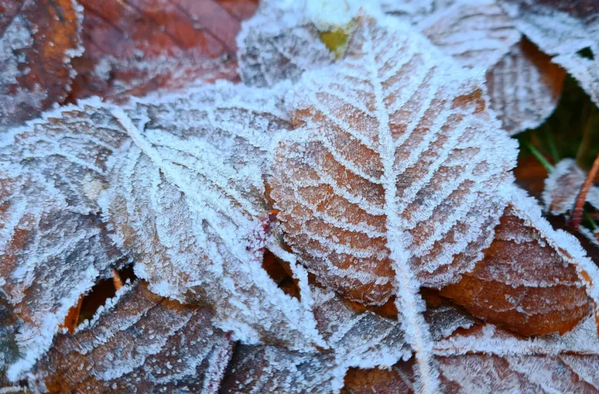  Хладно и дъждовно ще е и във вторник