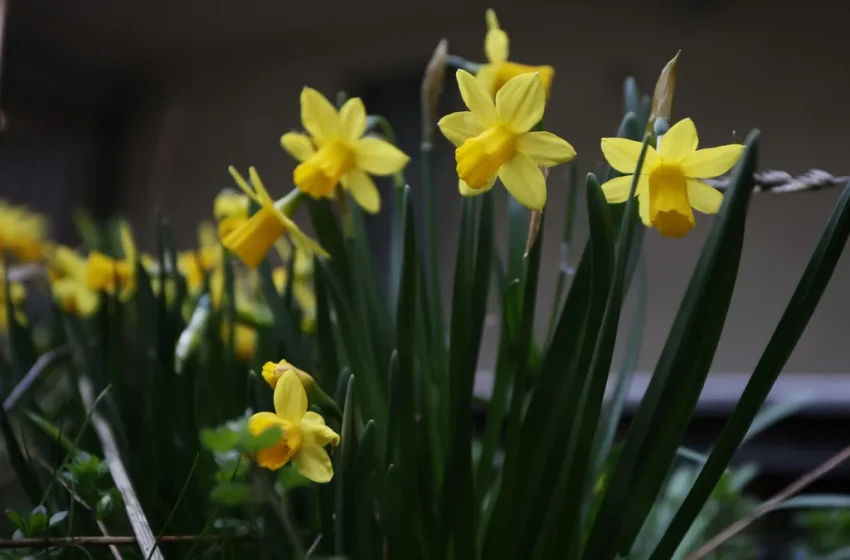  Облачно и дъждовно ще бъде и в сряда