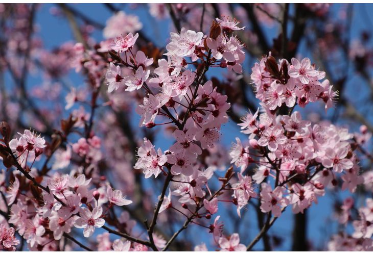  Очаква ни слънчева събота, облачност почти няма да има