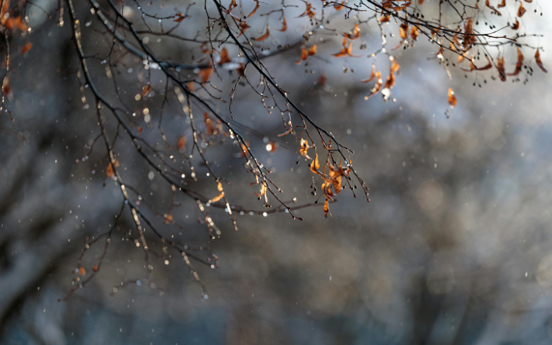  Времето се разваля, на места е обявен жълт код за валежи