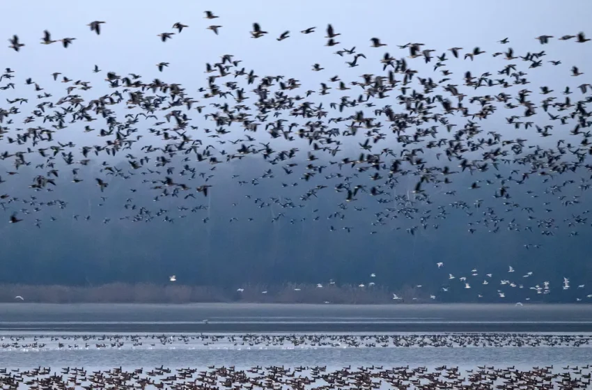  Очакват ни силен вятър и застудяване