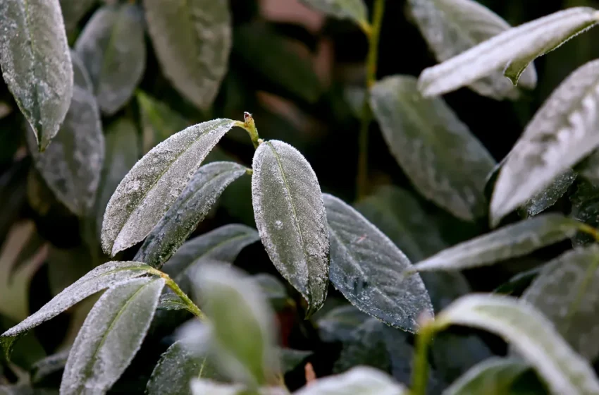  Облаци и слънце този четвъртък