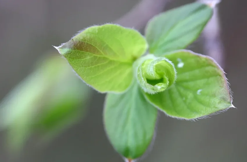  Слънце и вятър в петъчния ден
