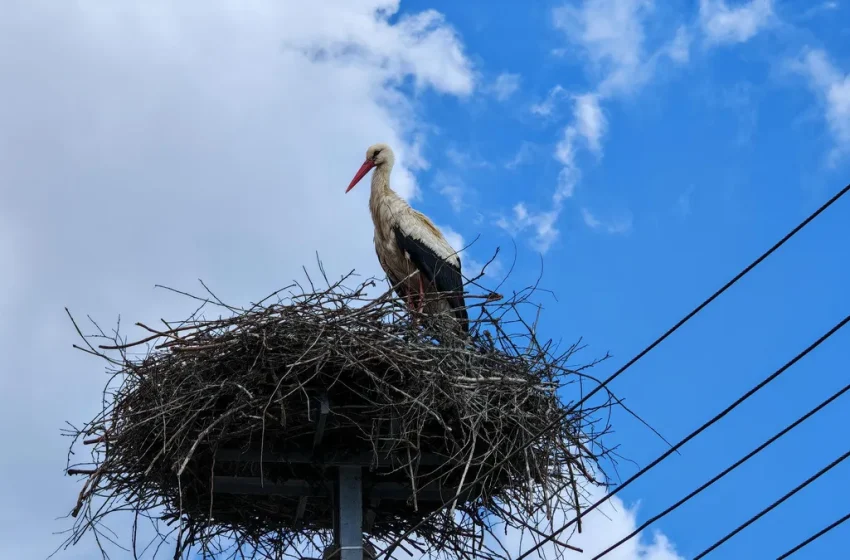  Очаква ни слънчева и ветровита неделя